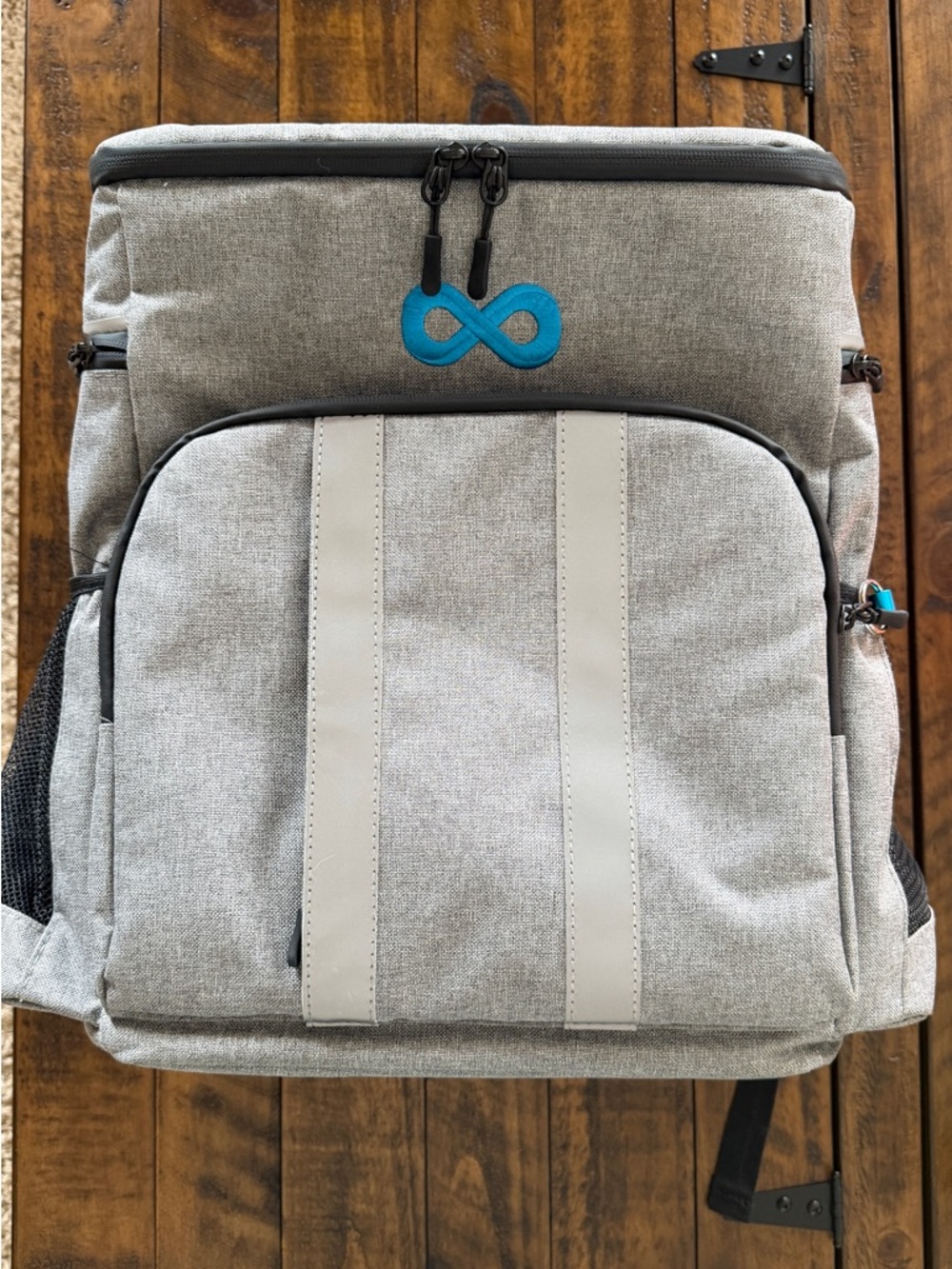 Insulated Backpack Cooler